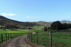 Day 5 - Oviedo to Cornellana - 39.3km