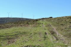 Day 13 - Lugo to Melide - 47.3km