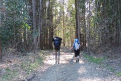 Day 14 - Melide to Lavacolla - 41.2km