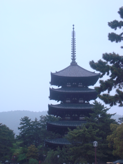 Kofukuji Five Storied Pagoda in Nara, Japan.