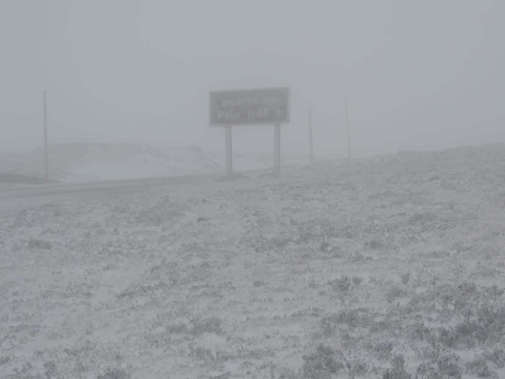 Taken by camera in the morning of March 3rd, 2014, in Spain. A raging blizzard at the top of a mountain is already a mystical experience; how much more so when horses guide you through it?