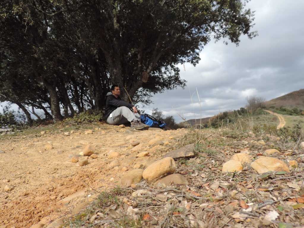 Picture taken during my pilgrimage, north of Leon, Spain, on February 23, 2014.